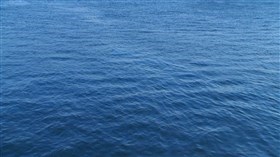 Harbour Ripples