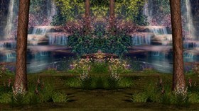 Beautiful Garden