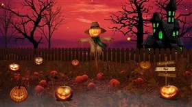 Pumpkin Patch