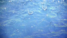 Splashing Water