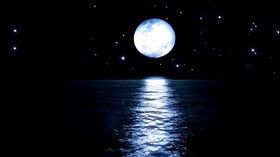 Black Night