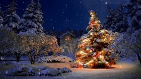 Christmas Snow