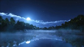 Tropic Cold Night