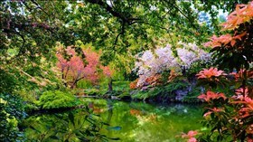 Spring Garden Pond