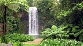 Millaa Millaa Falls
