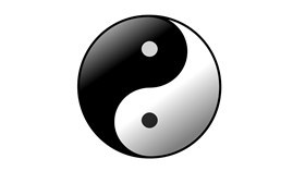 Yin Yang Spin