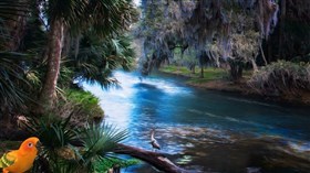 Tropical River