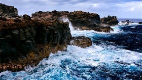 4K Hawaiian Shore