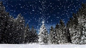 Snow Magic