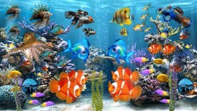 Fishy Colors