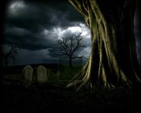 Grave Yard Tree