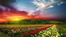 Idyllic Landscape 4K