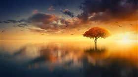 Dreamy Autumn 4K