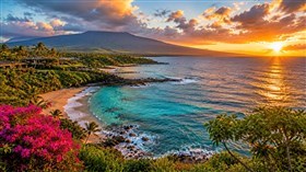 4K Maui Woweee