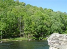 The New River 2