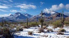 Desert Snow