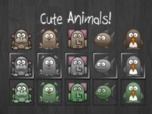 Cute Animals!