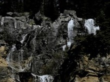 deep forest waterfall