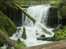 spring creek falls
