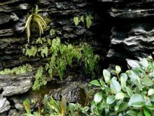 small falls