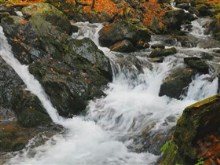 fast autumn falls