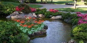 Japanese Garden Düsseldorf