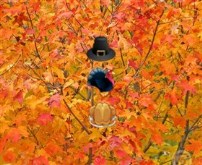 Thanksgiving