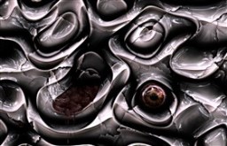 GoreWall