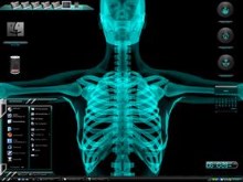 Skeletal 2