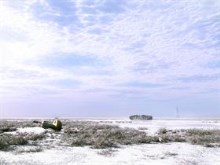 Coastal Winter