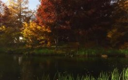 The Park Bench