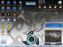 Wolf spirit