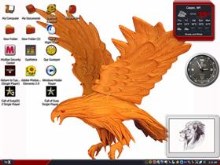 eagle on fire