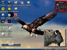 eagle has landed5