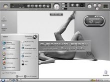 Chromium Bronx