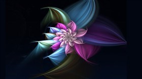 Pink Dahlia