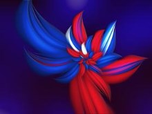 Fourth Of July Flower