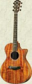 Taylor Koa CE