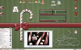 Merry Christmas 2007